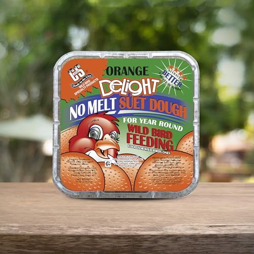 C&S EZ Fill Deluxe Suet and Snak Feeder, Holds One 56-Ounce Suet Cake | Hanging bird feeder with steel roof, platform base, top-opening suet cage for multiple standard suet cakes - style: Orange 12-Pack