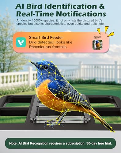 Smart Bird Feeder with Camera,5200mAh Battery with Solar Panel, 4K Native Resolution Live View, AI Species Identification, Auto Capture & Instant Arrival Alert, Ideal Gift for Bird Lovers (Dark Grey) - color: Dark Grey