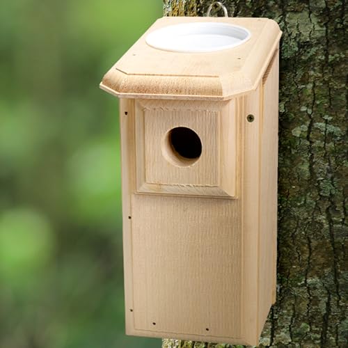 Bird Habitats Open-Top Bluebird House, Predator-Resistant Nest Box