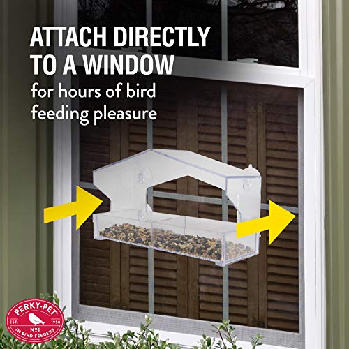 Perky-Pet Clear Outdoor Window Bird Feeder with Strong Suction Cups – 1 Lb Seed Capacity - Perky Pet 347 - Entertaining Bird Feeding - Great Gift Idea, Outdoor Decor - size: 1 LB Capacity