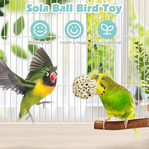 PINVNBY 6 Pack Small Sola Balls Bird Toys 2.36" Soft & Chewable Bird Chew Ball Natural Sola Plant Lightweight Shred Toy for Parakeet Cockatiel Lovebird Budgie and Similar Sizes Pets