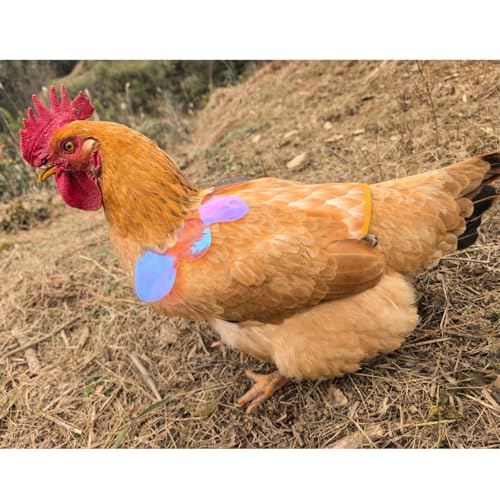 Chicken Saddles for Hens with Detachable Wings, Adjustable Hen Apron Back Protector for Feather Recovery, Double-Layer Breathable Poultry Saver for Standard Breeds (Yellow) | Double-Layered Breathable Poultry Back Protector For Hens During Mating And Feat