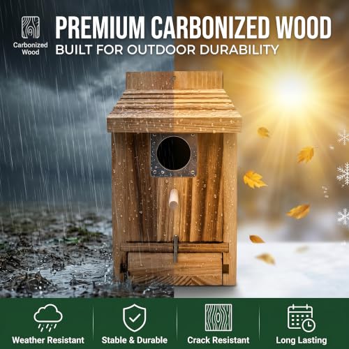 2-in-1 Bird House Feeder Carbonized Wood Outdoor Birdhouse Bluebirds|Carbonized Wood Birdhouses for Outdoors Clearance, Hanging Outdoor Birdhouse for Bluebird Wren, Casitas para Pajaritos - color: Pull-out