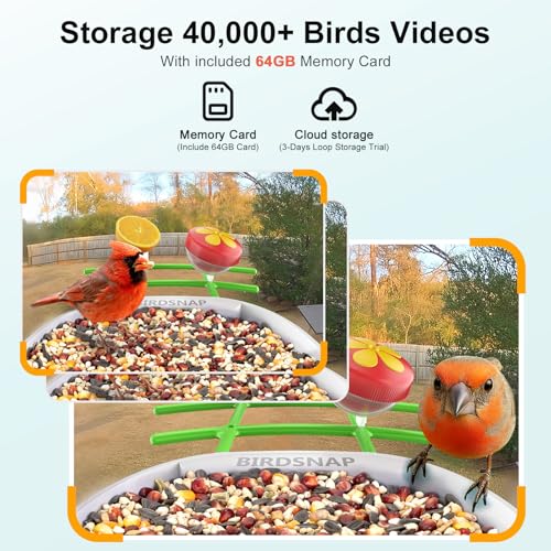 birdsnap® PAV Bird Feeder with Camera Solar Powered 2K Live Video 64GB Card | AI Bird Species Identification, Instant Arrival Alerts, IP65 Waterproof, Wild Bird Feeders for Outdoors, Gift for Bird Lovers - color: Green