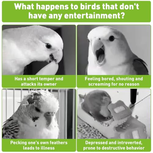 Parrot Foraging Toy, Bird Shredding Toy with Replaceable Paper Roll, Food Grade PP Chewing Toys for Cockatiel Budgie Conure Parakeet, Bird Cage Boredom Relief Enrichment Toys (Green) - color: Green