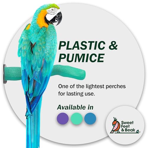 Sweet Feet and Beak Safety Pumice Bird Perch, X-Small Pedicure Perch, Blue | Plastic Bird Nail Trimming Perch, Pumice Coated Surface for Healthy Feet and Beak, 6" Lightweight Perch, Available In 5 Sizes - color: Blue, size: X-Small 6"