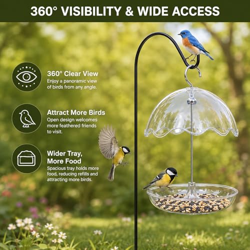 Hanging Platform Bird Feeder with Rain Shield Outdoor Feeder with Detachable Tray and 6.7” Clear Dome Rodent-Resistant Wild for Backyard, Garden, Balcony