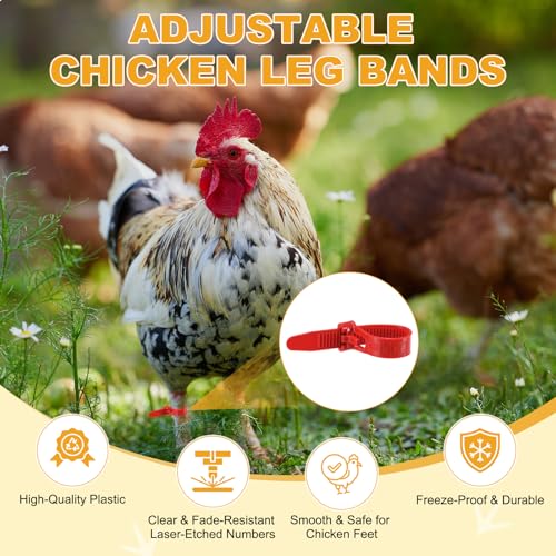 M METERXITY 100-Pack Adjustable Chicken Leg Bands, 10-28 mm Plastic Poultry Identification Chicken Leg Rings for Turkey/Duck/Goose/Chicks, Colorful Numbered Foot Clip on Tags [Red] - color: Red
