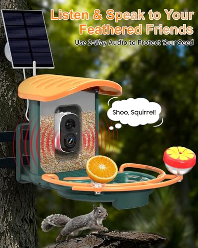 Bird Feeder with Camera, 2K HD Camera Birds Feeder with AI Bird Recognition, Solar Powered Smart Birdfeeder with Bath, App Control, Color Night Vision, Gift Box Package, Easy Install - color: Dark Green, size: Bath
