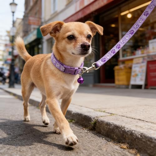 Puppy Collar and Lead Sets Pawprint Small Dog Collar and Lead Set Adjustable Cat Collars with Bell for Tiny Little XXS XS Extra Small Breed Pets Dogs Kittens Girls Female - color: light purple