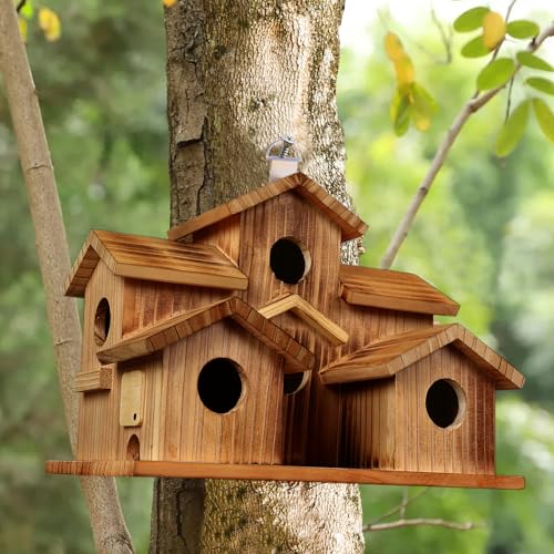 Bird Houses for Outside, 5 Hole Birdhouse Room for 5 Bird Families Bird House for Garden/Courtyard/Backyard Decor Finch Bluebird Cardinals Handmade Hummingbird House