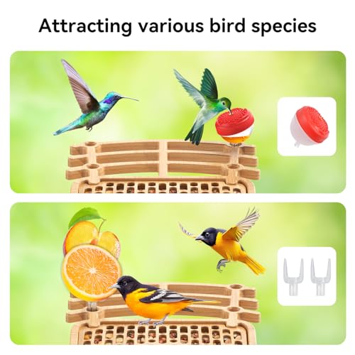 Solar Powered Bird Feeder with Camera, Hummingbird Feeders for Outdoors | 4K QHD Live Video Hummingbird feeder AI Bird Recognition, Auto Recording Squirrel Proof Bird Feeders for Bird Lovers Gift