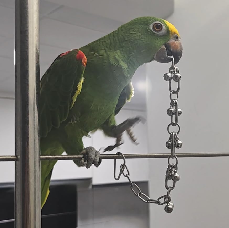 Fosrion Stainless Steel Parrot Chew Toy with Bell, 10.6" Durable Metal Bird Toy for Macaws, Cockatiels, Budgies - Cage Hanging Chew Chain (Ladder Chain with Double Bells) - color: Ladder Chain with Double Bells