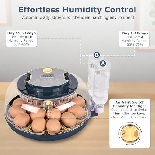 Incubators for Hatching Eggs, 18 Eggs Incubator with Egg Candler, Auto Egg Turner, Temp & Humidity Control, Hatch Day, Auto Water Refill, 2 Size Egg Tray, 360° Viewing for Chicken, Duck, Quail - size: 18 Eggs