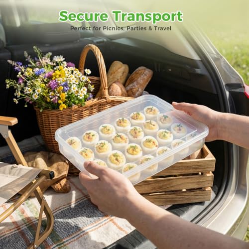 HANSGO Deviled Egg Containers with Lid, Plastic Egg Holder for 24 Eggs | Clear Deviled Egg Holder for Refrigerator Storage, Home Kitchen, Party, Easter, Thanksgiving and Other Festival - color: 24 Egg Box