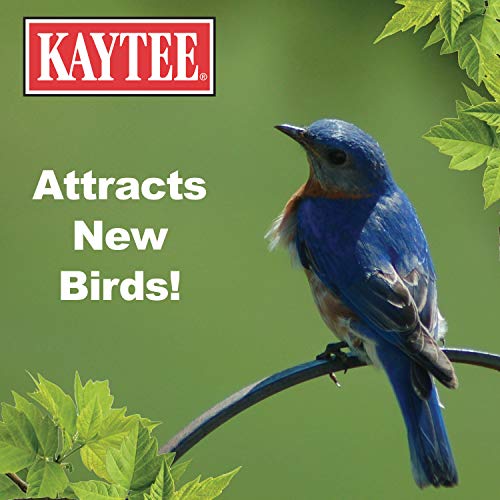 Kaytee Wild Bird Food Mealworms For Bluebirds, Wrens, Robins, Chickadees, Woodpeckers, Cardinals & Chickens, 2 Pound - size: 2 Pound (Pack of 1)