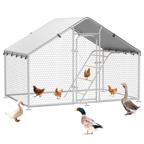 10 x 4.9 x 6.4 FT Metal Chicken Run, Chicken Coop with Cover | Reinforced frame, Walk-in Chicken Coop, Waterproof Cover, Side Hardware Cloth, Roosting Perch, Backyard & Farm Use - size: 59.9"L x 118.0"W x 78.0"H
