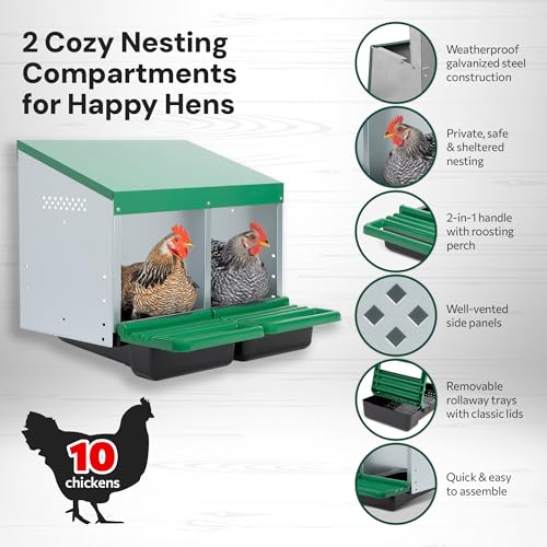 Homestead Essentials Classic Style 2 Compartment, Forward Rollout and Rollaway, Hen & Chicken Nesting Box with Integrated Perch and Protective Egg Laying Collection Lids - size: 20.8"L x 20.5"W x 20.0"H
