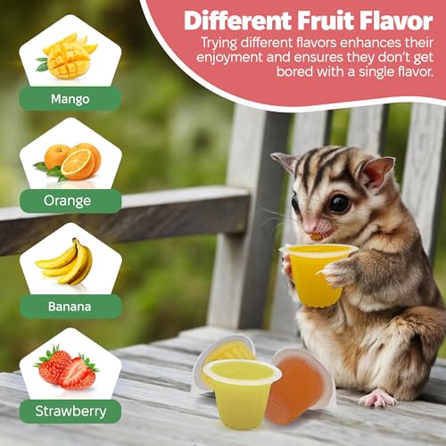Snout and Shell Pet Jelly Pods Variety Pack - Nutritious Jelly Fruit Nectar Treats for Geckos, Sugar Gliders, Birds, Small Pets - Real Fruit Juice - 40 Cups