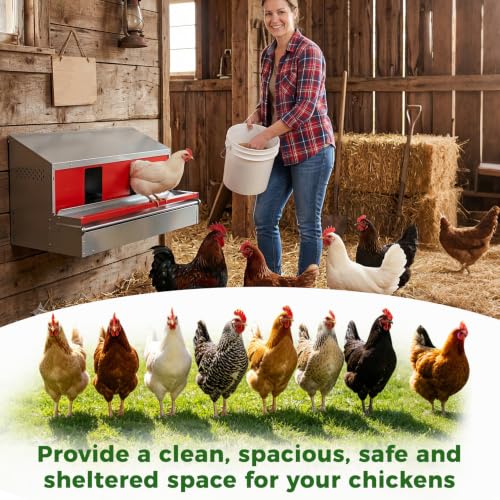 Redants Chicken Nesting Box, Metal Roll Away Nesting Boxes Chicken | Reversible Wall Mountable Chicken Laying Boxes, 36"×19.5"×20", Galvanized Steel, Waterproof, Up To 30+ Hens - size: 36.0"L x 19.0"W x 20.0"H