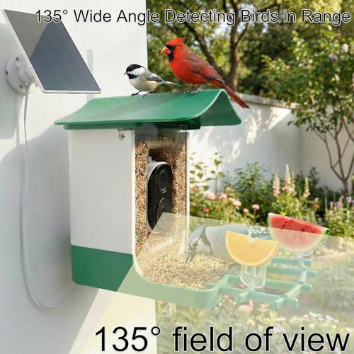 Ceeyali Smart Bird Feeder with Camera and 64GB Memory Card, 2K HD Video & Photo Live View, Solar Powered Panel, AI Birds Identification, 2.4G WiFi, 2.1L Seed Capacity (F2A Green) - color: F2A Green