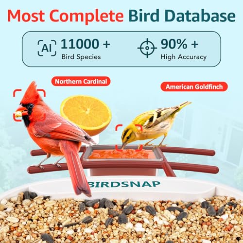 birdsnap® TUC Bird Feeder with Camera Solar Powered 2K Video with 32GB Card | AI Bird Species Identification, Squirrel-Proof, IP65 Waterproof, Outdoor Wireless, 2.4G WiFi, Gift for Mom Dad Bird Lovers - color: Dark Blue