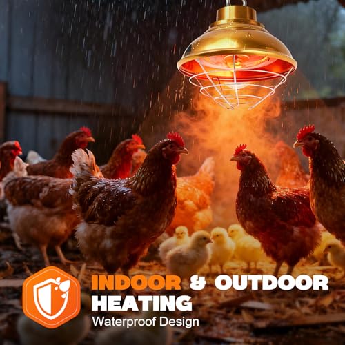 Chicken Heat Lamp 350W,Chicken Coop Heater with Carbon Fiber Bulb,Winter Hanging Heat Lamp for Chickens Brooder,Two-Temperature Adjustable (175/350W) for Puppy,Kitten and Poultry