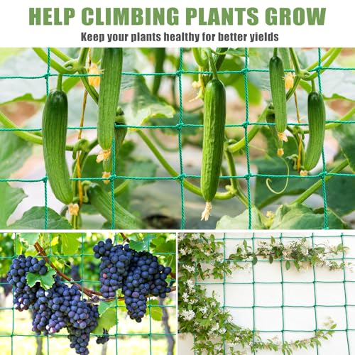 Trellis Netting for Climbing Plants, Cucumber/Tomato Garden Trellis Netting | Heavy Duty Garden Netting for Trellis for Climbing Plants Outdoor, Thickened Plant Grow Net for Vine, Fruits, Vegetables,Bean - size: 6.6x16.5 FT (27 Strands)