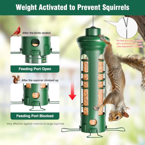 Squirrel Proof Bird Feeder for Outdoors Hanging, Removable Base, Easy to Clean, Weatherproof & Rustproof, Metal Tube Bird Feeder for Cardinals Finches Blue Jays, Gift for Mom, Dad - color: Green