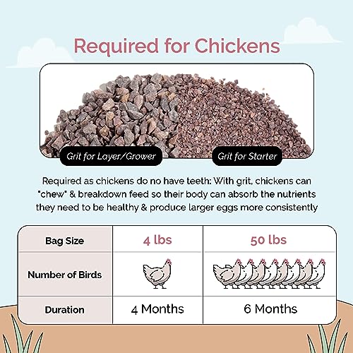 Baby Chick Grit, Age 0-8 Weeks, Quartzite Mineral, 4 lbs Bag | For Chicks Age 0-8 Weeks; Backyard Chickens & Small Flocks; 100% Quartzite/Crushed Granite Grit; Supports Digestion; Non-GMO - size: 4 Pounds (Pack of 1)