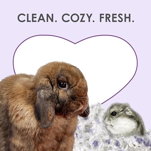 Kaytee Clean & Cozy Lavender Paper Bedding for Guinea Pigs, 24.6 Liters | Fresher habitats with rabbit bedding. Hamster bedding for small pets. 99% dust-free, absorbs 6x, lavender bedding - size: 24.6 Liters