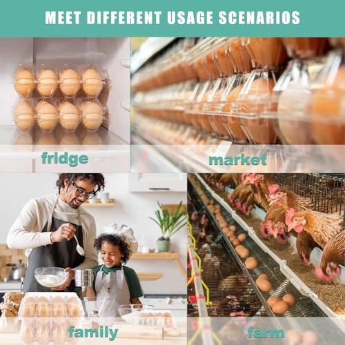 SINLUCESCE 50 Packs Egg Cartons Cheap Bulk, Plastic for 12 Eggs, Clear Egg Cartons 3 * 4 Grids, Perfect for Refrigerator Family Farm Commercial Business Market Display