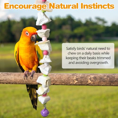 PINVNBY 2 Pack Bird Toys with Cuttlebone Calcium Parakeet Chewing Toy Hanging Bird Beak Grinding Stone Cage Accessories for Parrot Budgie Lovebird Cockatiel (Small) - size: Blocky