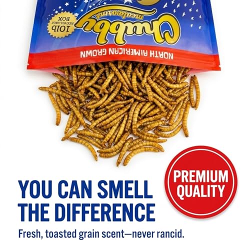 Chubby North American Grown Dried Mealworms | 10 lbs | Non-GMO High-Protein Treats for Chickens, Ducks & Wild Birds – Sustainable Chicken Feed - size: 10Lbs