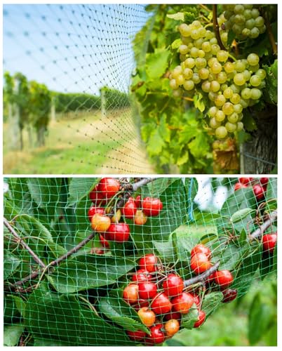 13Ft x 33Ft Anti Bird Netting Protection Mesh Garden Netting Seedlings Plants Flowers Fruit Trees Vegetables from Rodents Deer Reusable Fencing, Green - color: Green