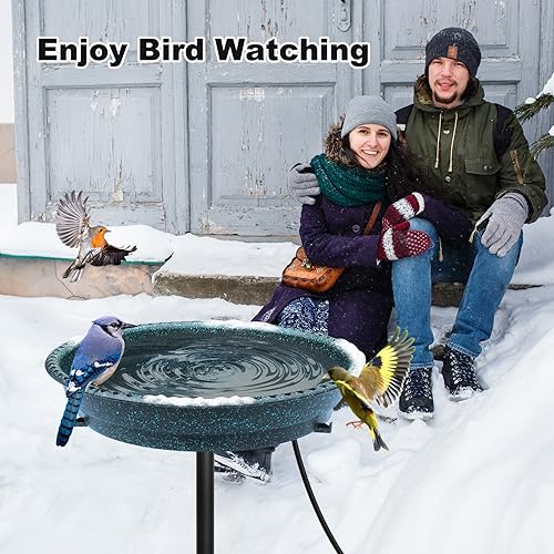 BIRD WISH Heated Bird Bath, Stable 5-Prong Metal Base Thermostat Control Weather Resistance All Seasons Available 75W Heated Bird Baths for Outdoors for Winter Garden Yard Patio Lawn, Spotted Green - color: Spotted Green