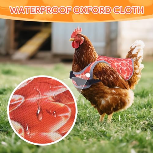 Chicken Saddles for Hens, Chicken Aprons for Hens with Adjustable Straps, Hen Saddle for Chickens - color: Black,White,Orange