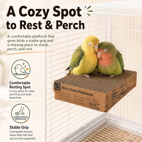 Agape Shreddable Bird Cardboard Platform, Natural Parrot Chew Toy and Perch | Safe Cage Mounted Paper Toy Accessory for Budgies, Lovebirds, Quakers, Cockatiels & Conures, Supports Beak & Foot Health - size: Large