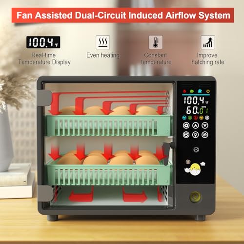Egg Incubator for Hatching 24 Chicken Eggs |84 Quail Eggs | Precise Temperature & Humidity Control, Adjustable Rollers for Duck,Goose,Pigeon Egg, Auto Egg Turning,Water Refilling