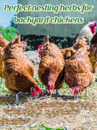 Chicken Nesting Herbs for Outdoor Indoor Chicken Coop - 14OZ Natural Egg-Laying Box Feed Herbs for Freshening Bedding Promote Egg Production - size: 14oz