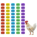 100Pcs Chicken Leg Rings with 5 Color, 16mm Numbered Chicken Identification Leg Bands Clip Poultry Ankle Bands for Bantam, Duck, Guinea and Medium Birds - size: 16mm