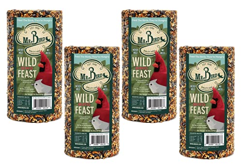 Mr. Bird WildBird Feast Cylinder, 4-Pack, 1 lb 15 oz | Wild Bird Seed for Outside Feeders | Premium Blend of Pecans, Sunflower Hearts & Millet | No Mess, No Melt - size: 1.75 Pound (Pack of 4)