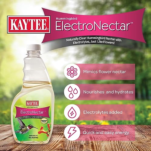 Kaytee Hummingbird ElectroNectar Wild Bird Food, 16 oz Concentrate 2 Pack, Makes 128 oz of ElectroNectar - size: 16 Fl Oz (Pack of 2), style: 16 Fl Oz Concentrate (Pack of 2)