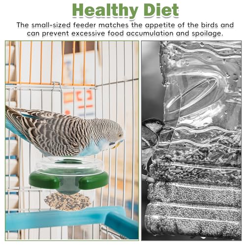 PINVNBY 4 PCS Bird Food Bowl Bird Cage Feeder with Clamp, Easy to Install Feeding Dish Cups Transparency Parakeet Food Dish for Finches Lovebirds and Long-Tailed Parrots （Green） - color: green