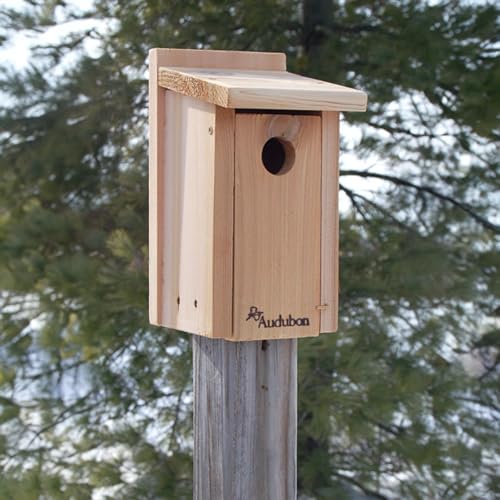 Four Pack of Audubon Cedar Bluebird Houses