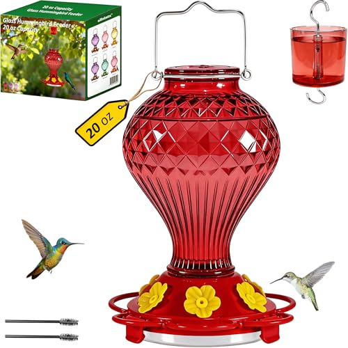 Glass Hummingbird Feeder for Outdoors Hanging, 20 oz Nectar Capacity, 6 Feeding Ports, Leak-Proof Rust-Free Plastic Base, Easy to Refill & Clean, Decorative Red Glass Bird Feeder for Garden Patio - color: Red, size: 20 Fluid Ounces