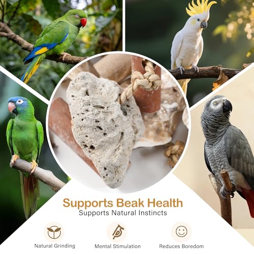 18" Natural Bird Toy for Medium & Large Parrots,Multi-Texture Chew & Forage | Coconut Shells & Lava Stones | Shred For African Greys,Cockatoos, Caiques, Quakers and Conures | Healthy Beak Exercise