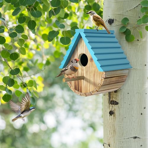 Auslar Bird Houses for Outside, Hanging Wooden Birdhouse for Outdoors, Blue | Bluebird House for Bluebirds Cardinals Finches Wrens Swallows, Bird Nesting Box with Perch & Hook, Garden Backyard Decor - style: Cylindrical
