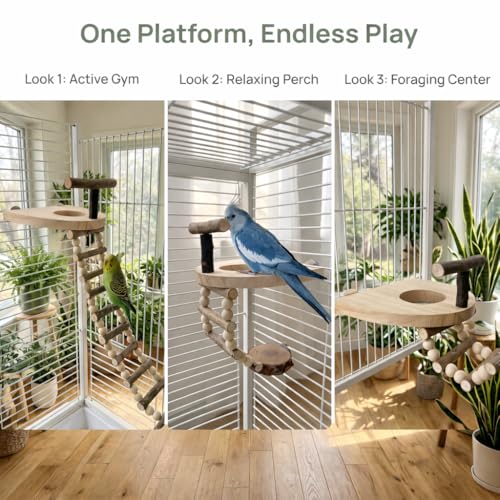 Bird Perch for Cage, Natural Pine Wood Platform with Ladder, Cage Mounted Parrot Perch for Parakeets, Cockatiels, Budgies, Finches & Small Birds