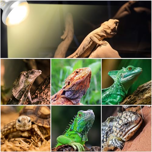 Reptile Heat Lamp Blub Combo Pack, Dual Reptile Lamp Fixture with Intense Basking Spot Light UVA Daylight Reptile Heat Lamp & 26W Energy Saving UVA 10.0 UVB Bulb Spiral Compact Bulb - style: DRL01ST4